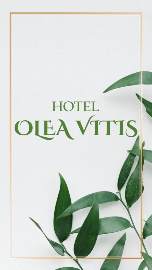 Olea Vitis 호텔 Međugorje 외부 사진